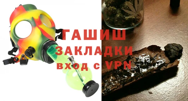 гашик Осинники